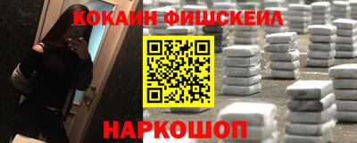 индика Новодвинск