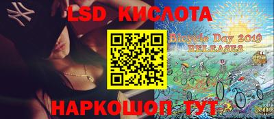 индика Новодвинск