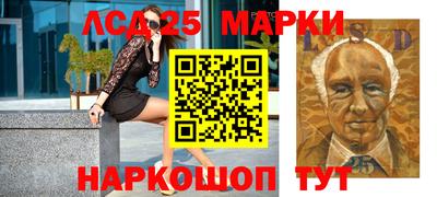 индика Новодвинск