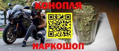индика Новодвинск