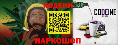 индика Новодвинск