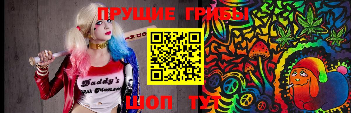 закладка  Галлюциногенные грибы MAGIC MUSHROOMS  Вход с VPN  Спасск-Дальний 